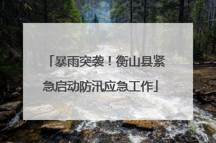 暴雨突袭！衡山县紧急启动防汛应急工作