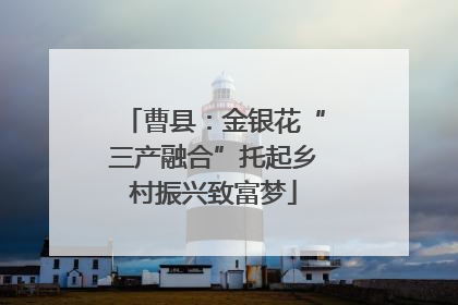 曹县：金银花“三产融合”托起乡村振兴致富梦