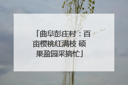 曲阜彭庄村：百亩樱桃红满枝 硕果盈园采摘忙