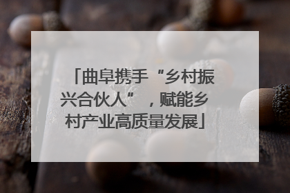 曲阜携手“乡村振兴合伙人”，赋能乡村产业高质量发展