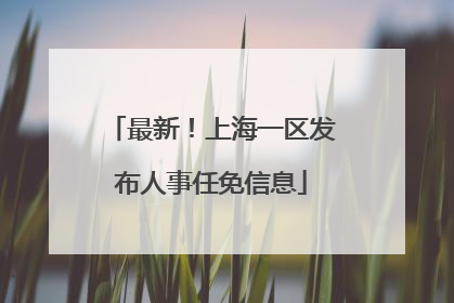 最新！上海一区发布人事任免信息