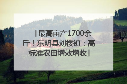 最高亩产1700余斤！东明县刘楼镇：高标准农田增效增收