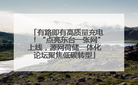 有路即有高质量充电！“点亮东台一张网”上线，源网荷储一体化论坛聚焦低碳转型
