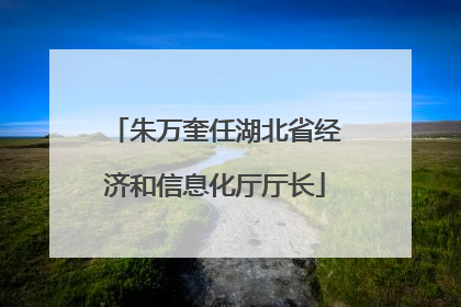 朱万奎任湖北省经济和信息化厅厅长