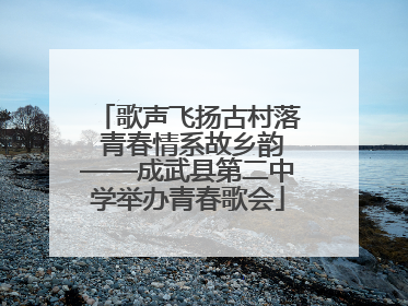 歌声飞扬古村落 青春情系故乡韵——成武县第二中学举办青春歌会