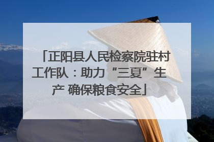 正阳县人民检察院驻村工作队：助力“三夏”生产 确保粮食安全