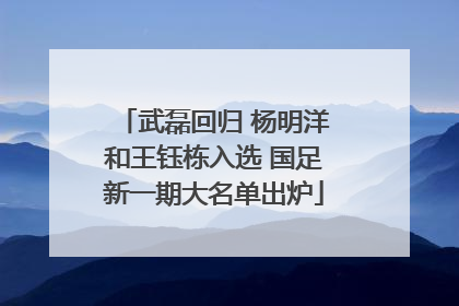 武磊回归 杨明洋和王钰栋入选 国足新一期大名单出炉