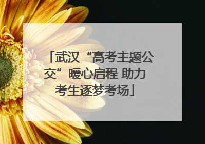 武汉“高考主题公交”暖心启程 助力考生逐梦考场