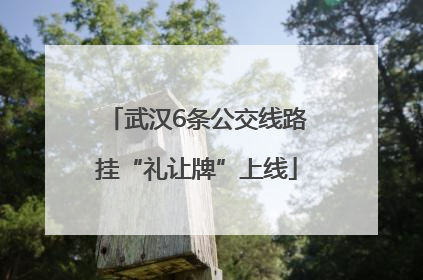 武汉6条公交线路挂“礼让牌”上线