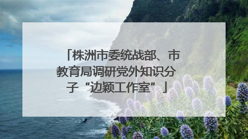 株洲市委统战部、市教育局调研党外知识分子“边颖工作室”