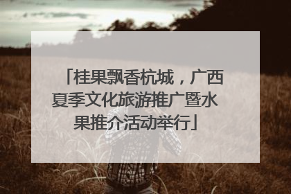 桂果飘香杭城，广西夏季文化旅游推广暨水果推介活动举行