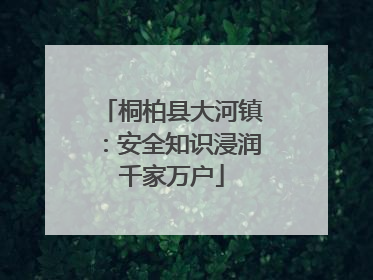 桐柏县大河镇：安全知识浸润千家万户
