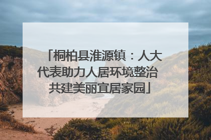 桐柏县淮源镇：人大代表助力人居环境整治 共建美丽宜居家园