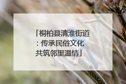 桐柏县清淮街道：传承民俗文化 共筑邻里温情