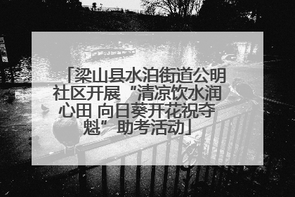 梁山县水泊街道公明社区开展“清凉饮水润心田 向日葵开花祝夺魁”助考活动