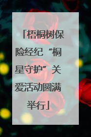 梧桐树保险经纪“桐星守护”关爱活动圆满举行