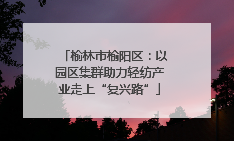 榆林市榆阳区：以园区集群助力轻纺产业走上“复兴路”