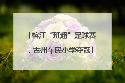 榕江“班超”足球赛，古州车民小学夺冠