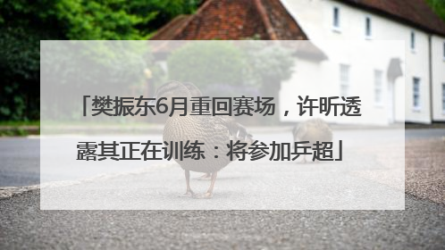 樊振东6月重回赛场，许昕透露其正在训练：将参加乒超
