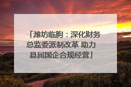潍坊临朐：深化财务总监委派制改革 助力县属国企合规经营