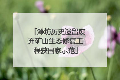 潍坊历史遗留废弃矿山生态修复工程获国家示范