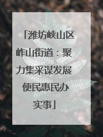 潍坊峡山区岞山街道：聚力集采谋发展 便民惠民办实事