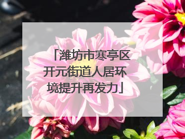 潍坊市寒亭区开元街道人居环境提升再发力
