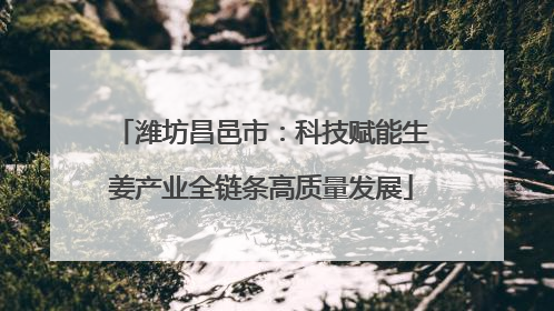 潍坊昌邑市：科技赋能生姜产业全链条高质量发展