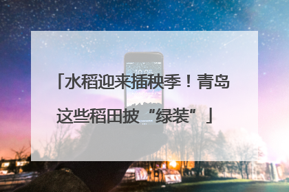 水稻迎来插秧季！青岛这些稻田披“绿装”