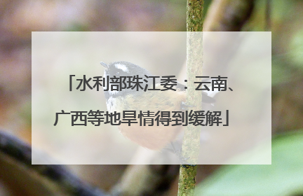 水利部珠江委：云南、广西等地旱情得到缓解