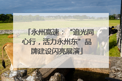 永州高速：“追光同心行，活力永州东”品牌建设闪亮展演