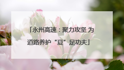 永州高速：聚力攻坚 为道路养护“夏”足功夫