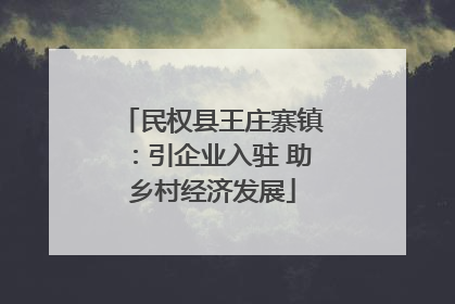 民权县王庄寨镇：引企业入驻 助乡村经济发展