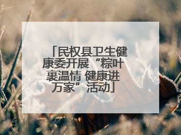 民权县卫生健康委开展“粽叶裹温情 健康进万家”活动
