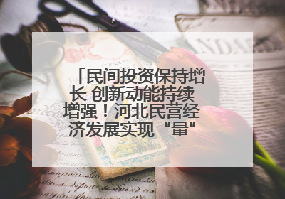 民间投资保持增长 创新动能持续增强！河北民营经济发展实现“量”“质”双提升