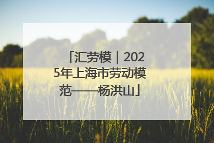 汇劳模｜2025年上海市劳动模范——杨洪山