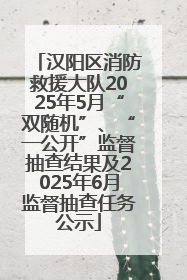 汉阳区消防救援大队2025年5月“双随机”、“一公开”监督抽查结果及2025年6月监督抽查任务公示