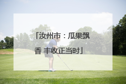 汝州市：瓜果飘香 丰收正当时
