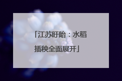 江苏盱眙：水稻插秧全面展开