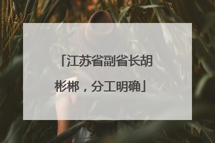 江苏省副省长胡彬郴，分工明确