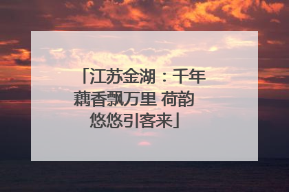 江苏金湖：千年藕香飘万里 荷韵悠悠引客来