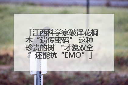 江西科学家破译花榈木“遗传密码” 这种珍贵的树 “才貌双全”还能抗“EMO”