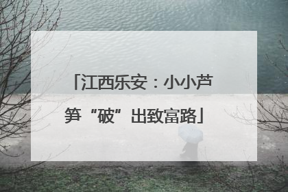江西乐安：小小芦笋“破”出致富路