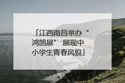 江西南昌举办“鸿鹄展” 展现中小学生青春风貌
