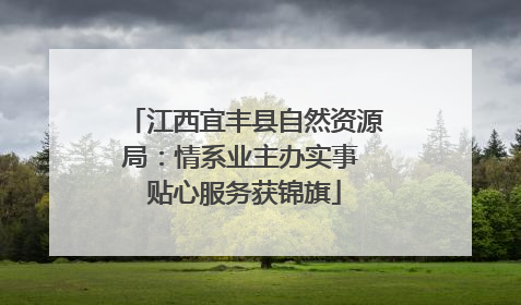 江西宜丰县自然资源局：情系业主办实事 贴心服务获锦旗