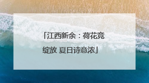江西新余：荷花竞绽放 夏日诗意浓