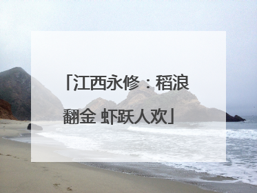 江西永修：稻浪翻金 虾跃人欢