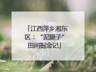 江西萍乡湘东区：“泥腿子”田间掘金记