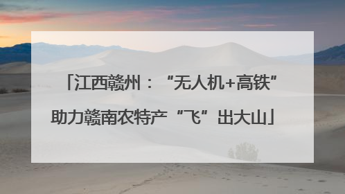 江西赣州：“无人机+高铁”助力赣南农特产“飞”出大山