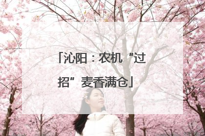沁阳：农机“过招”麦香满仓
